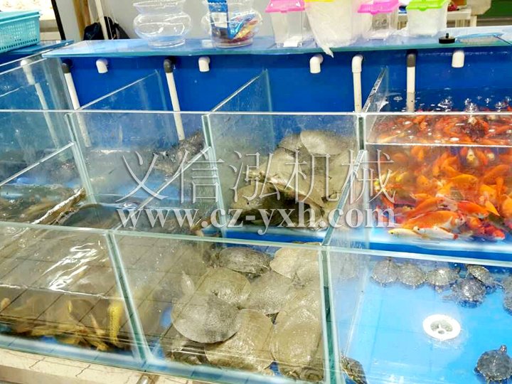 超市魚缸